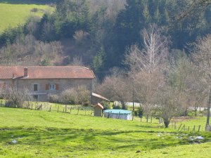 Chambre hote, ferme charrondière chambre hote, ferme Charrondière