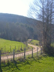 sentier marche