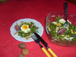 chambres hotes loire charrondiere salade pissenlits