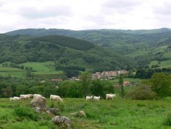 saint bonnet des quarts